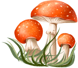 Watercolor autumn forest mushroom