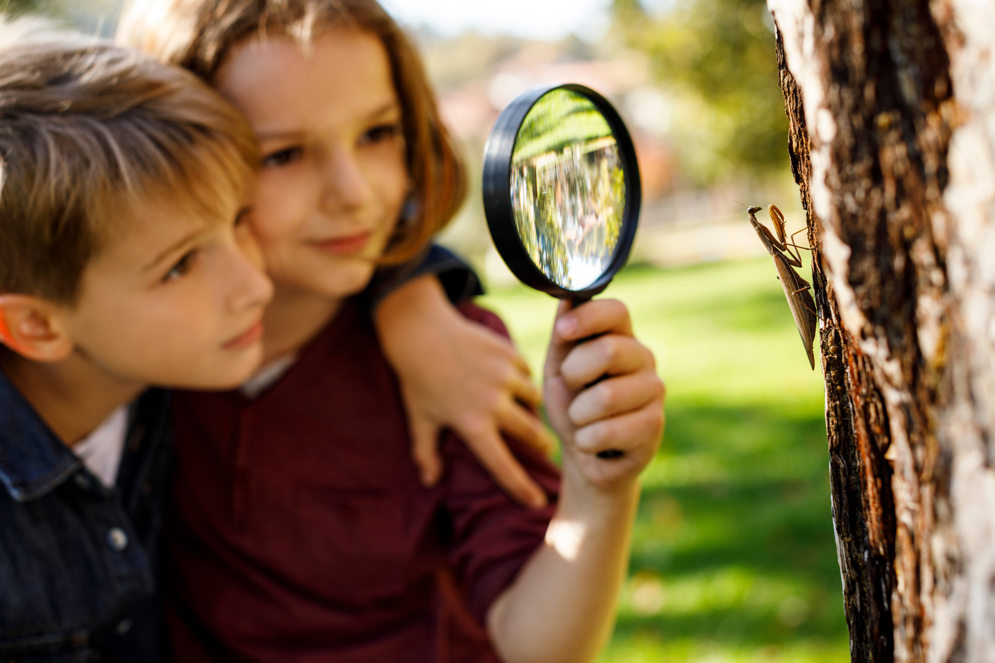 School children learning outdoor