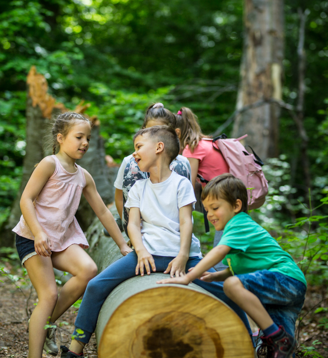 Children in the forest