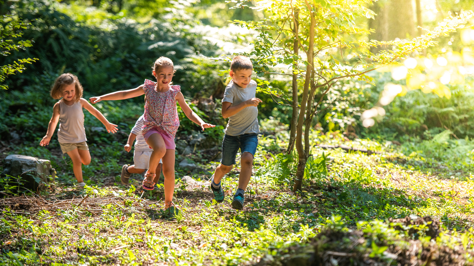 Children playing in forest